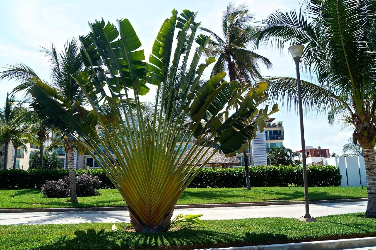 Appartamento Penthouse Con Jacuzzi En Acapulco Diamante Esterno foto